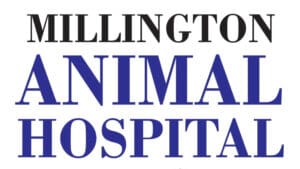 A logo for the willingtons animal hospital.