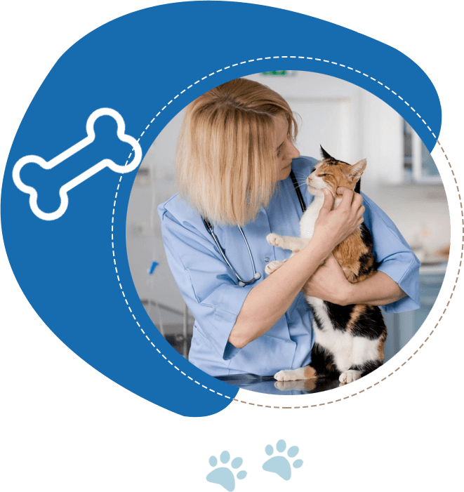 A veterinarian in a blue uniform holds a calico cat while examining it. The background includes veterinary symbols like a bone and paw prints.