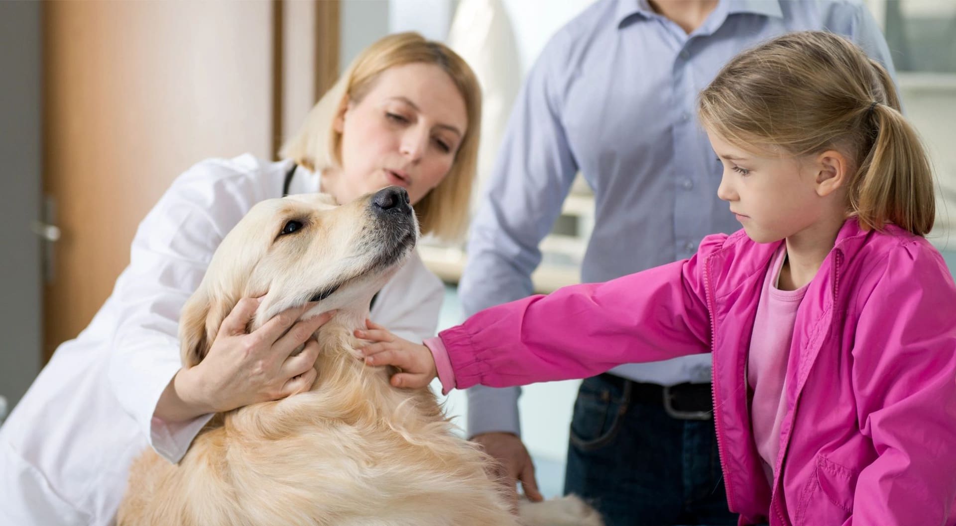 A veterinarian examines a golden retriever while a young girl in a pink jacket gently touches the dog. An adult stands nearby.
