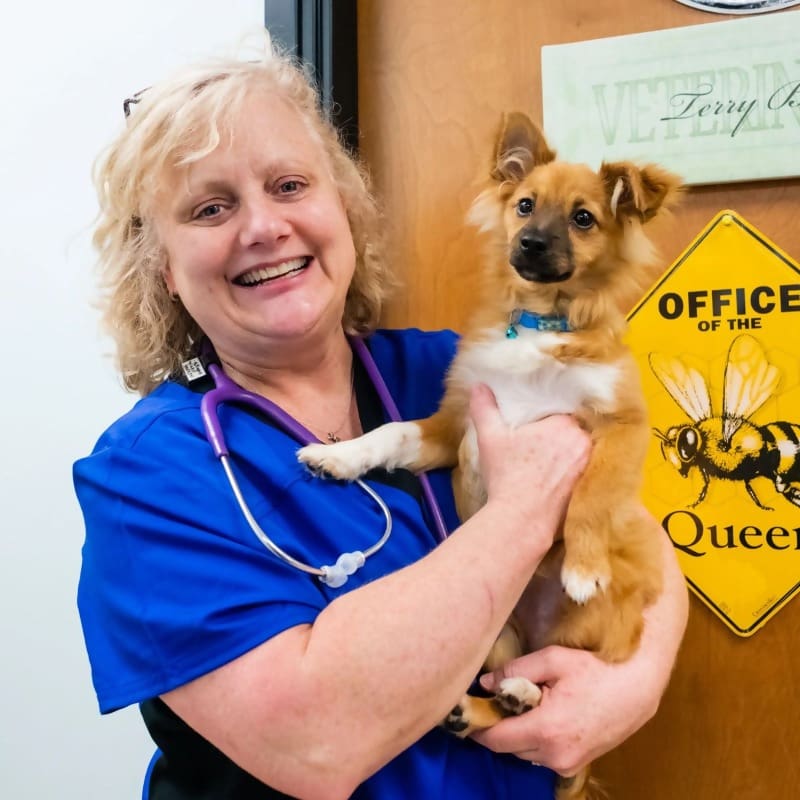 487ac605b3af9abd6d78e762fa09578004c35f837ec03